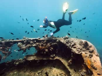 Coron Reef and Wrecks Tour (wycieczka prywatna)