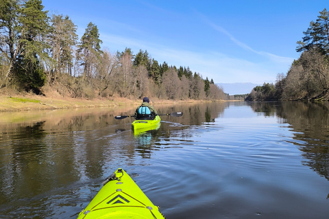 Vilnius: Neris River Kayak Rental Vilnius: Neris River Kayak Rental (16KM)