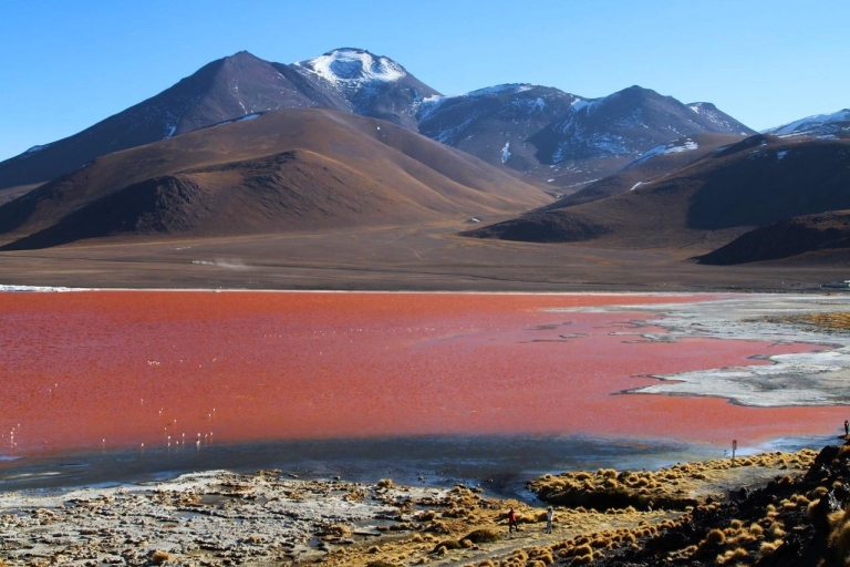 From Uyuni: Geyser and Uyuni Salt Flats 3-Days | Flamingos | Bolivia: Salar de Uyuni Tour 3 days 2 nights