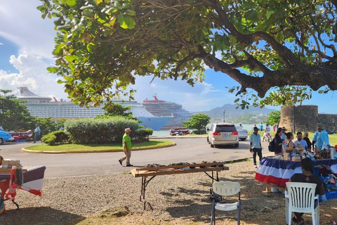 普拉塔港：从泰诺湾/安伯湾出发的猴子之旅和城市之旅普拉塔港：塔伊诺湾/安伯湾的猴子之旅和城市之旅