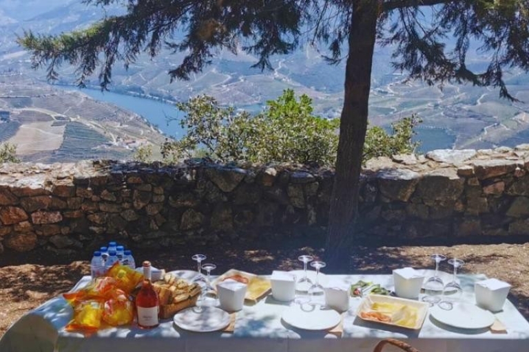 Visite privée de la vallée du Douro en 4x4 avec dégustation de vins et pique-nique