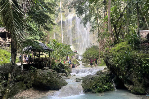 Cebu: Oslob Whale Sharks, Tumalog Falls & Monkey Sanctuary Oslob Whale Sharks, Tumalog Falls & Monkeys – Small Group