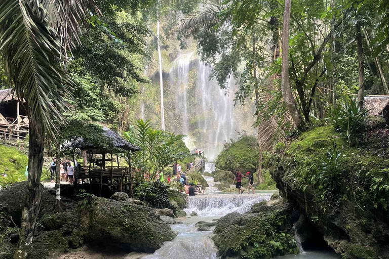 Cebu: Oslob Whale Sharks, Tumalog Falls & Monkey Sanctuary Oslob Whale Sharks, Tumalog Falls & Monkeys – Small Group