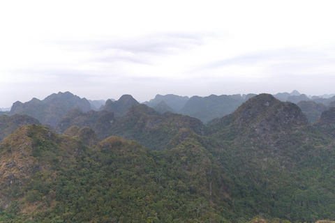 Half Day Hiking to Cat Ba National Park with a Guide