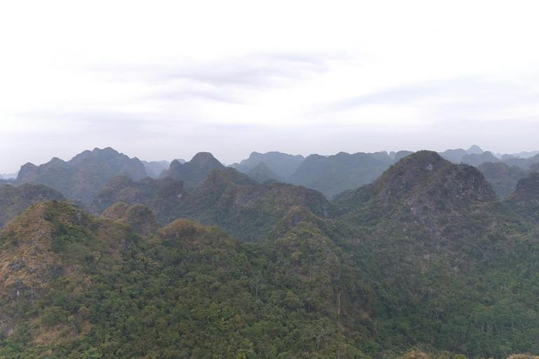 Half Day Hiking to Cat Ba National Park with a Guide