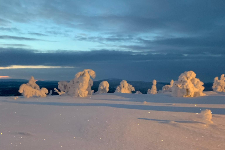 Levi: Snöskovandring: Tomtens stuga och picknick i natursköna omgivningar