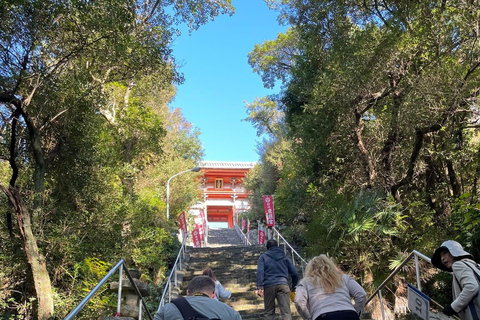 From Osaka/Kyoto: Mt. Koya & Nachi Falls Private Day Trip