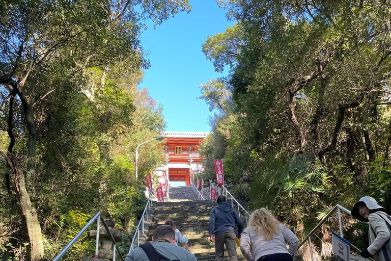 From Osaka/Kyoto: Mt. Koya & Nachi Falls Private Day Trip