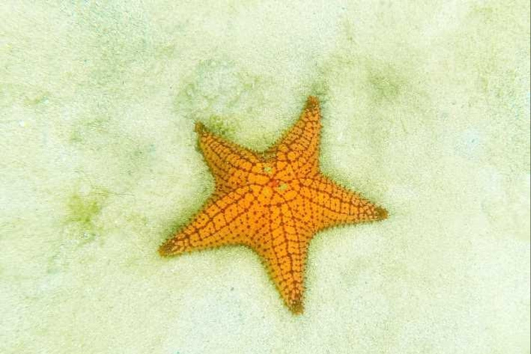 Njut av paradisiska lekplatser belägna i Colón