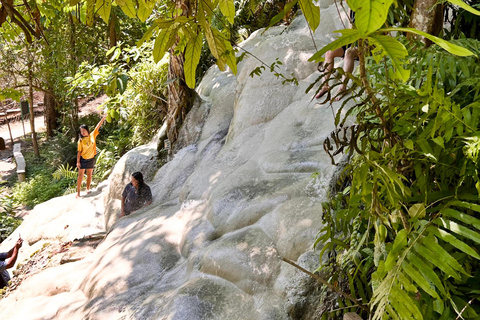 Chiang Mai: Bua Thong Sticky Waterfalls with Hotel Transfer Sticky Waterfalls with Hotel Transfer