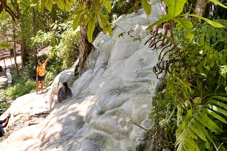 Chiang Mai: Bua Thong Sticky Waterfalls with Hotel Transfer Sticky Waterfalls with Hotel Transfer