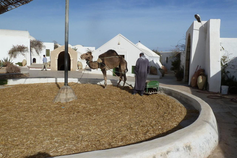 Djerba: Guellala Museum, Heritage, Photo Session, and Sunset Djerba: Discover Djerba's Traditions with a Photo Shoot