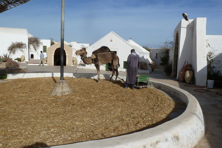 Djerba: Guellala Museum, Heritage, Photo Session, and Sunset Djerba: Discover Djerba's Traditions with a Photo Shoot