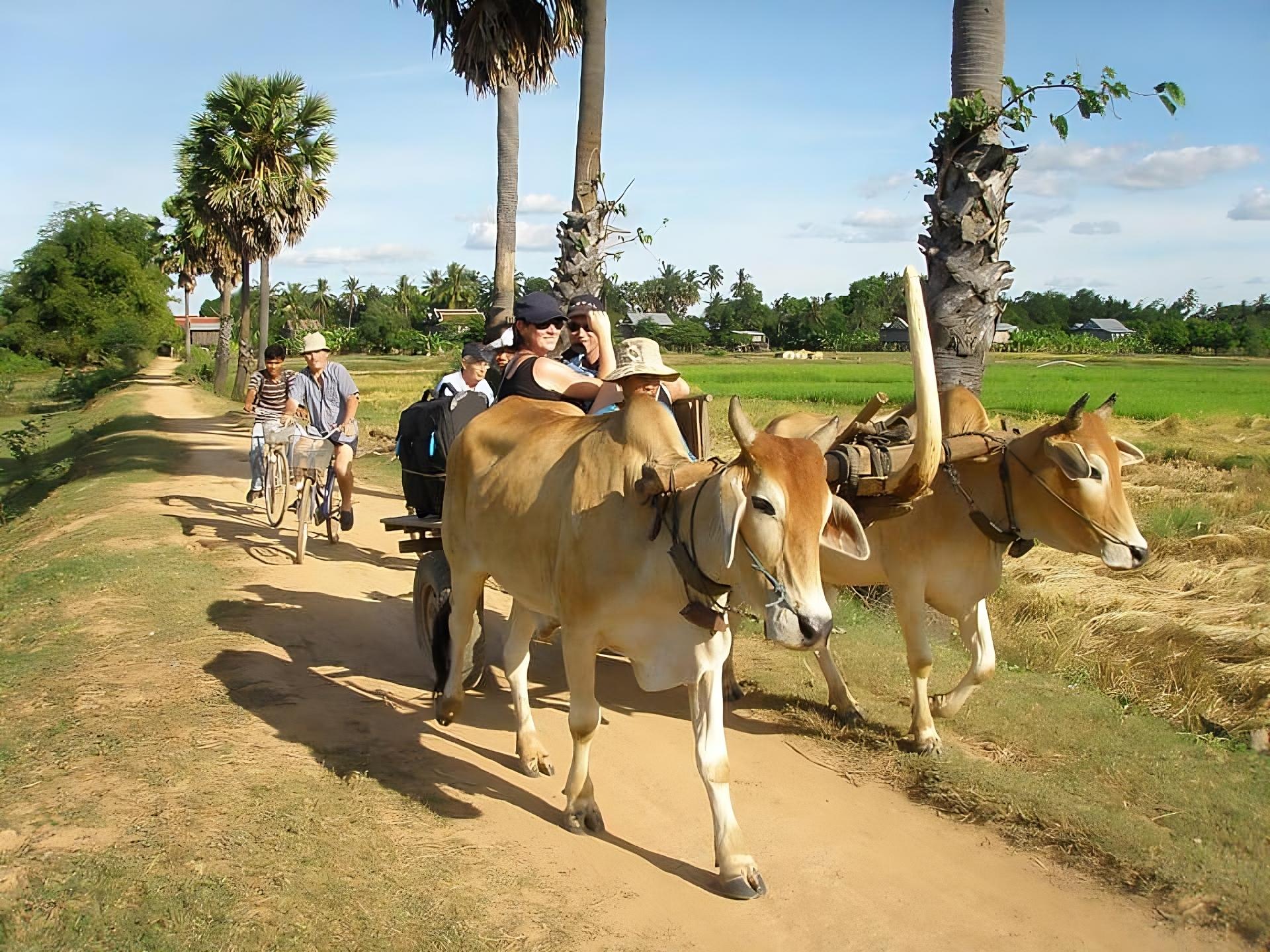 Kratie: Ganztägiges Kajak-Abenteuer & Radtour auf Koh Trong