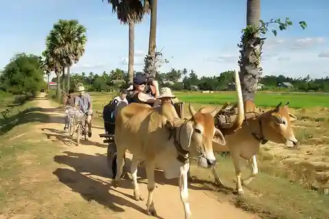 Kratie: Excursión en bicicleta por la isla de Koh Trong con aperitivos