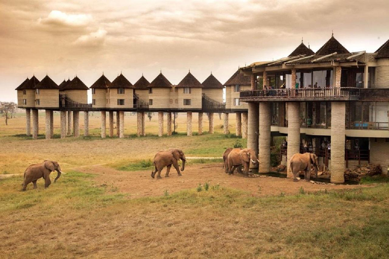 Safari nocturno en salinas desde Mombasa