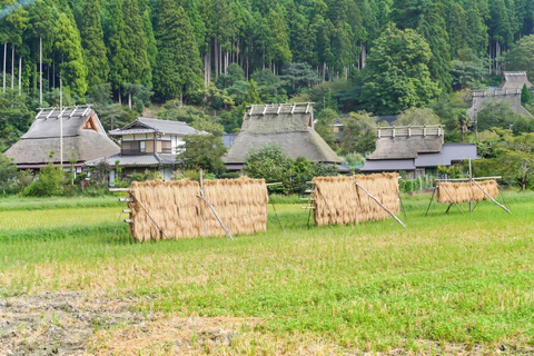 Kyoto/Osaka: Amanohashidate & Ine Funaya & Miyama Day Tour Cable Car & Ine Bay Cruise Excluded | Osaka 7:30AM