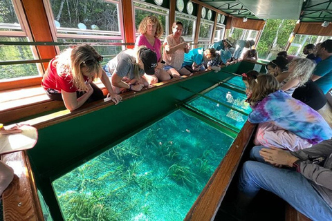 Von Orlando aus: Silver Springs Park und Glass Bottom Boat Tour