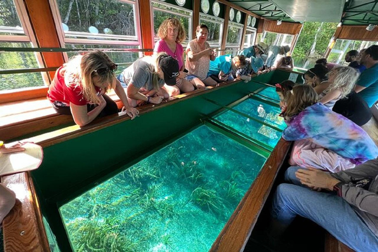 Depuis Orlando : Parc de Silver Springs et tour en bateau à fond de verre