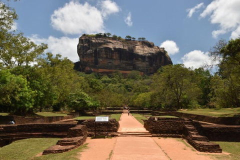 Kandy to Negombo: Sigiriya & Dambulla Day Trip