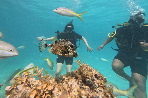 Punta Cana: Discover Scuba Diving Experience for Beginners