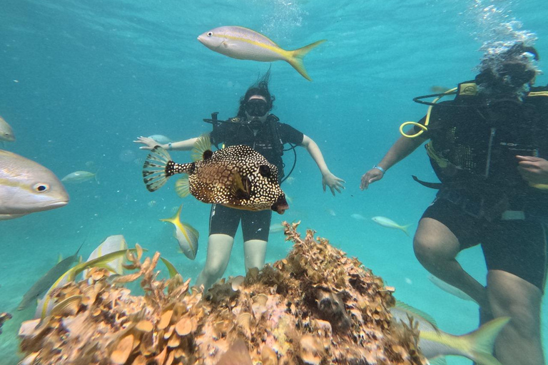 Punta Cana: Discover Scuba Diving Experience for Beginners