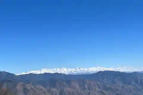 Mussoorie: Mountain Forest Hike & Nature walk