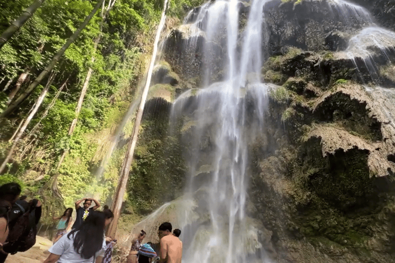 Oslob: Whale Sharks, Tumalog Falls & Sumilon Trio Adventure