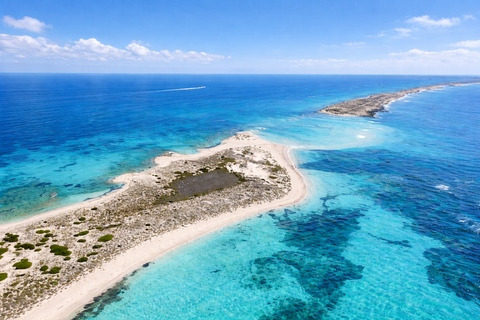 Ibiza: Formentera Boat with Open Bar, 3 meals & Sunset Party ADVANCE: Standard selection of food & open bar option