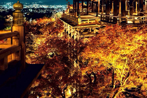 Kyoto: Private Customizable Day Tour with Guide