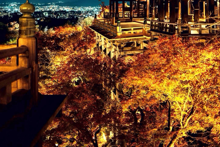 Kyoto: Private Customizable Day Tour with Guide
