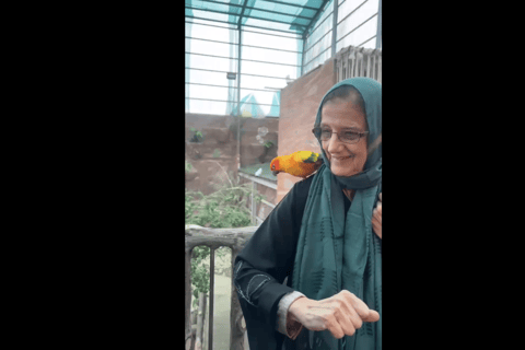 Makkah or Jeddah to Al-Hada, Al-Shafa, and Taif City Tour A journey full of experiences، learn about Saudi hospitality