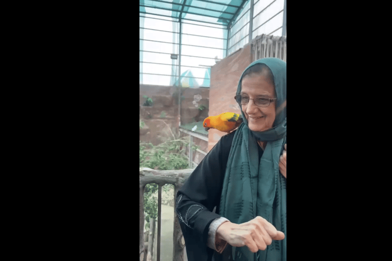 Makkah or Jeddah to Al-Hada, Al-Shafa, and Taif City Tour A journey full of experiences، learn about Saudi hospitality