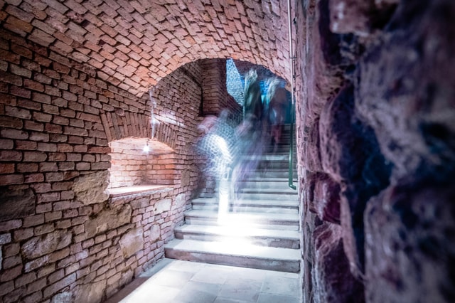 Vienna: Romain Wine Cellar Self-Guided Tour