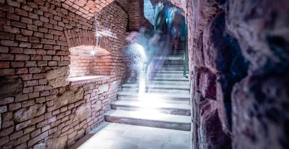 Vienna: Romain Wine Cellar Self-Guided Tour