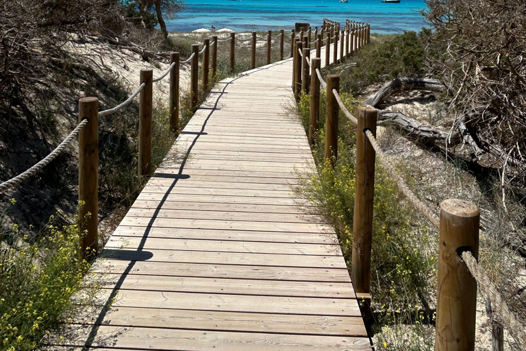 Formentera: Hidden Spots Tour in Land Rover Defender Formentera: Hidden Spots Tour in a Land Rover Defender