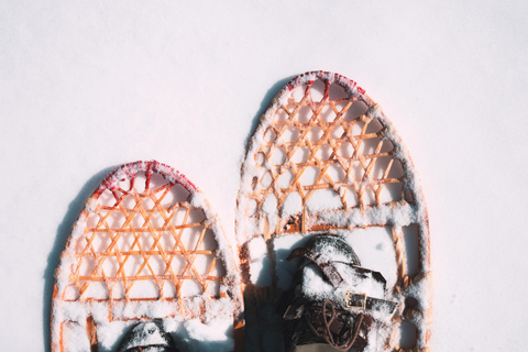 Luzern: Schneeschuhwanderung zum Glaubenberg Langis