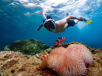 Pattaya: Nemo Island Experience with Drone Photos and Lunch