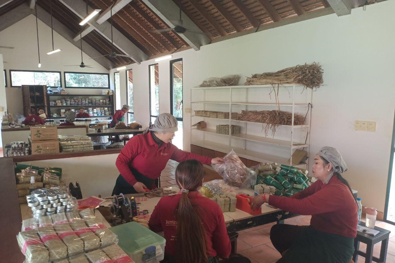 Excursion d&#039;une demi-journée : visite de la ferme de la soie, de Satcha et du Senteur d&#039;Angkor