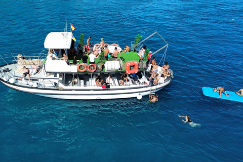 Costa Calma: Fuerteventura Dolphin Watching Boat Tour