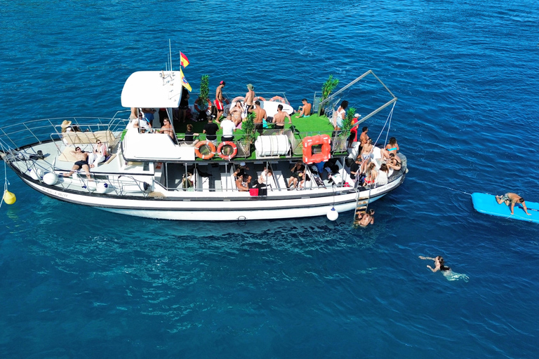 Costa Calma: Fuerteventura Dolphin Watching Boat Tour