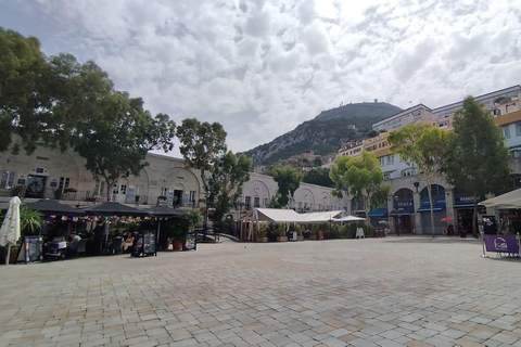 Gibraltar: Day Trip with Guide in german and english Gibraltar: Day Trip with dolphin Tour in german and english