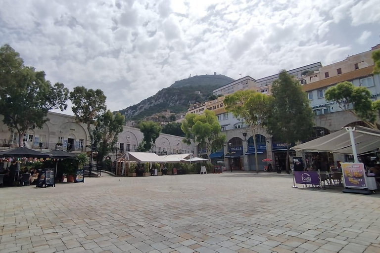 Gibraltar: Day Trip with Guide in german and english Gibraltar: Day Trip with dolphin Tour in german and english