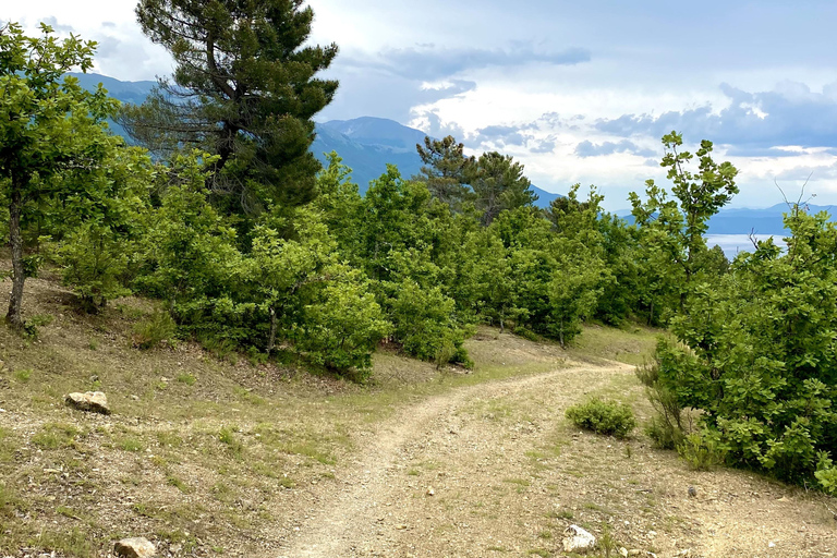 Guided Mountain Hike in Galicica National Park