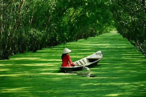 Depuis Ho Chi Minh : EXCURSION D&#039;UNE JOURNÉE AU TUNNEL DE CU CHI ET AU DELTA DU MEKONG