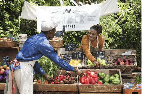 St Lucia Private Transfers: Vacation Mode Activated! CHIC Arrivals: Private Airport Transfers (ROUND TRIP)