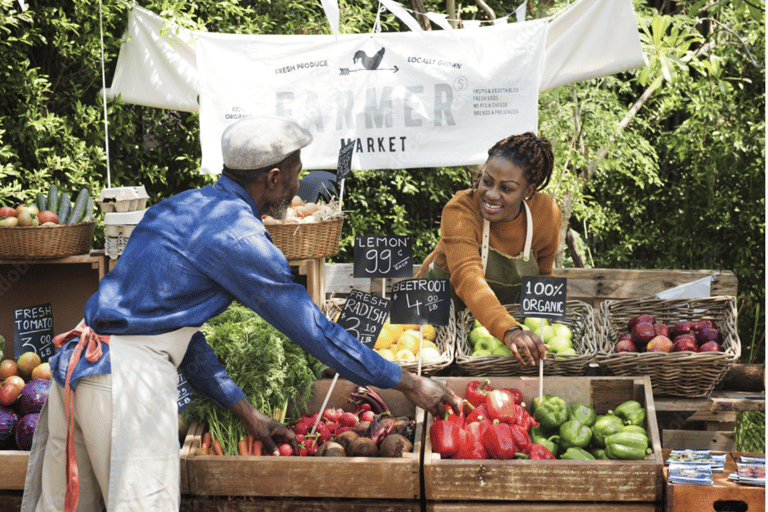 St Lucia Private Transfers: Vacation Mode Activated! CHIC Arrivals: Private Airport Transfers (ROUND TRIP)