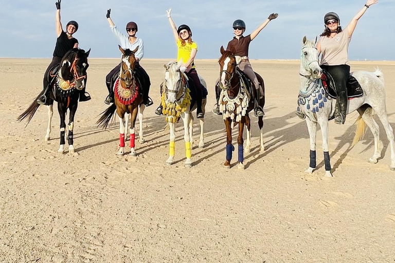 الغردقة: جولة ركوب الخيل في الصحراء والبحر مع خيار السباحةجولة لمدة ساعتين لركوب الخيل بدون السباح