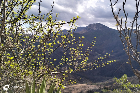 Oaxaca: Xaaga-Hierve el Agua - 1-dniowa wycieczka pieszaCena od 8 osób wzwyż