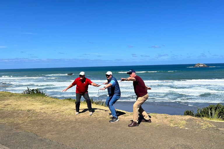 Heart of Auckland: Private Half-Day City Tour